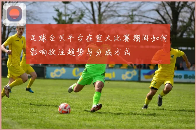 足球合买平台在重大比赛期间如何影响投注趋势与分成方式