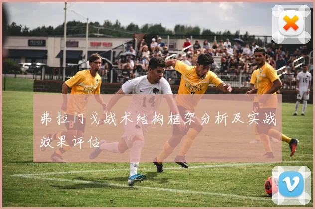 弗拉门戈战术结构框架分析及实战效果评估