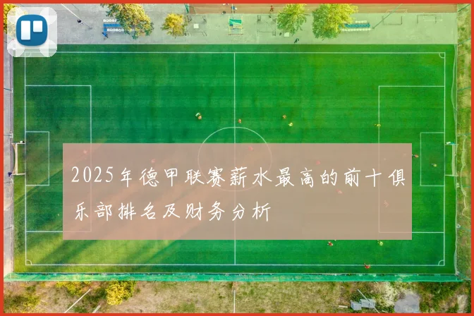 2025年德甲联赛薪水最高的前十俱乐部排名及财务分析